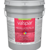 MEDALLION PLUS EXTERIEUR SATIN 5GAL WHITE (2)